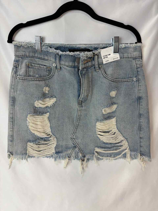 Express Skirt