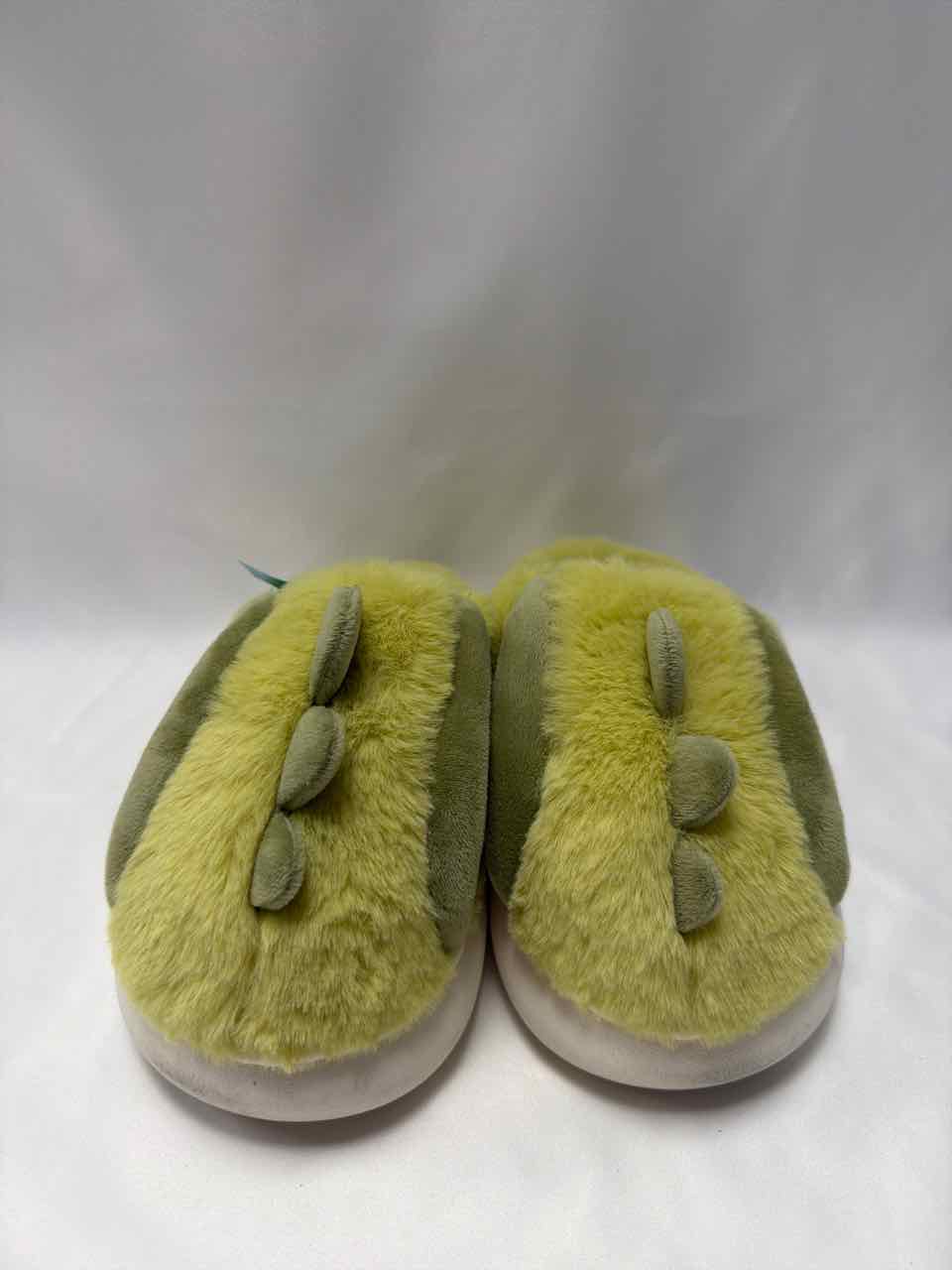 Shoe Sizes 9C Green Slippers